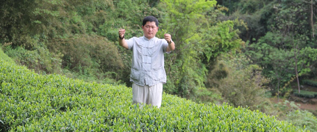 Чайный мастер Олег на плантации чая