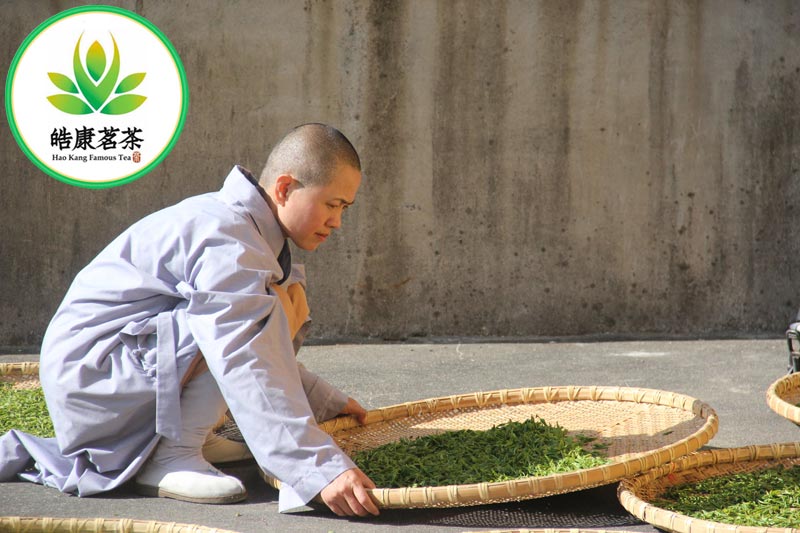 Монахиня буддийского монастыря готовит зеленый чай